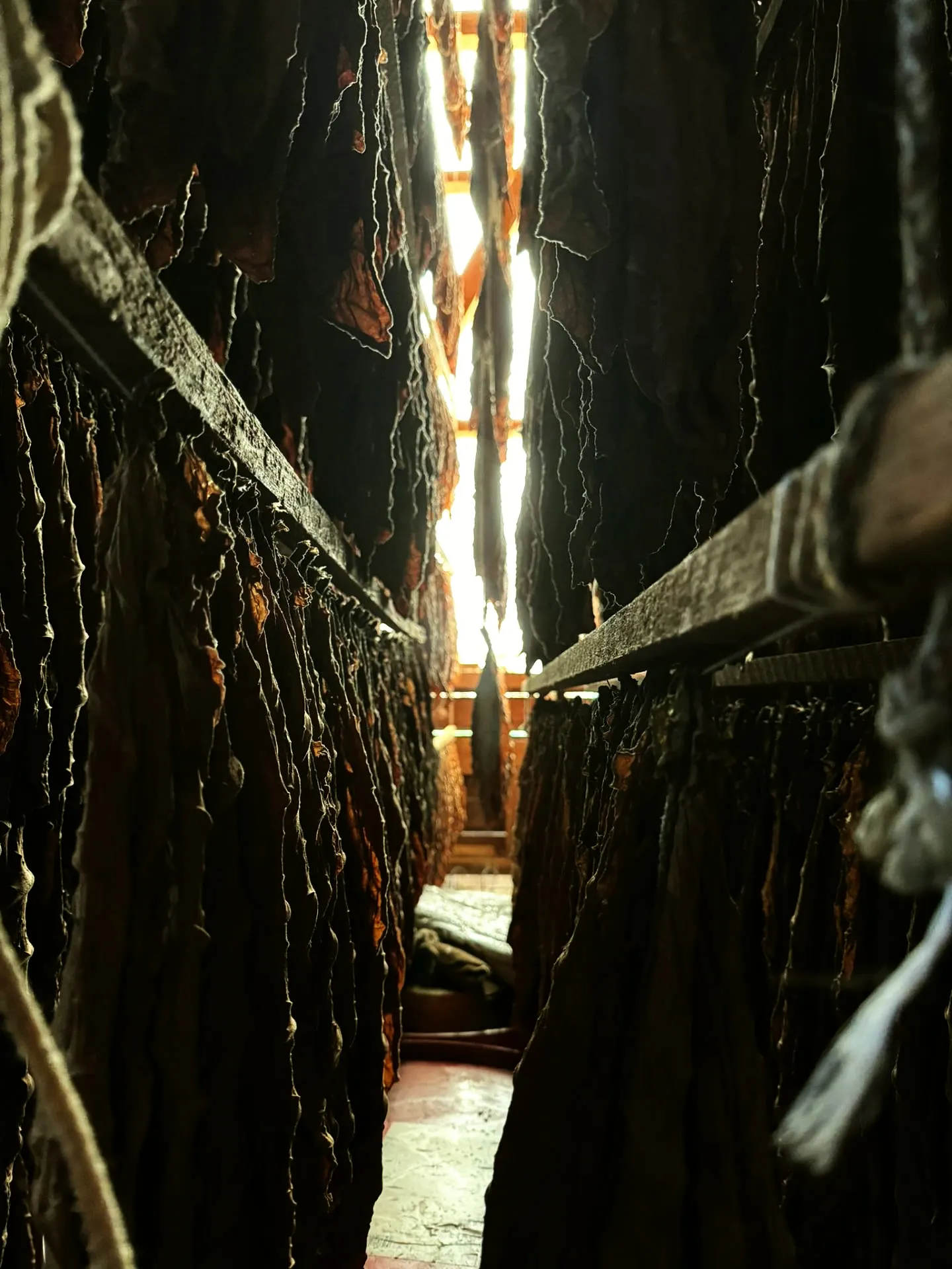 Fermentationsstapel in der Manufaktur Steinach