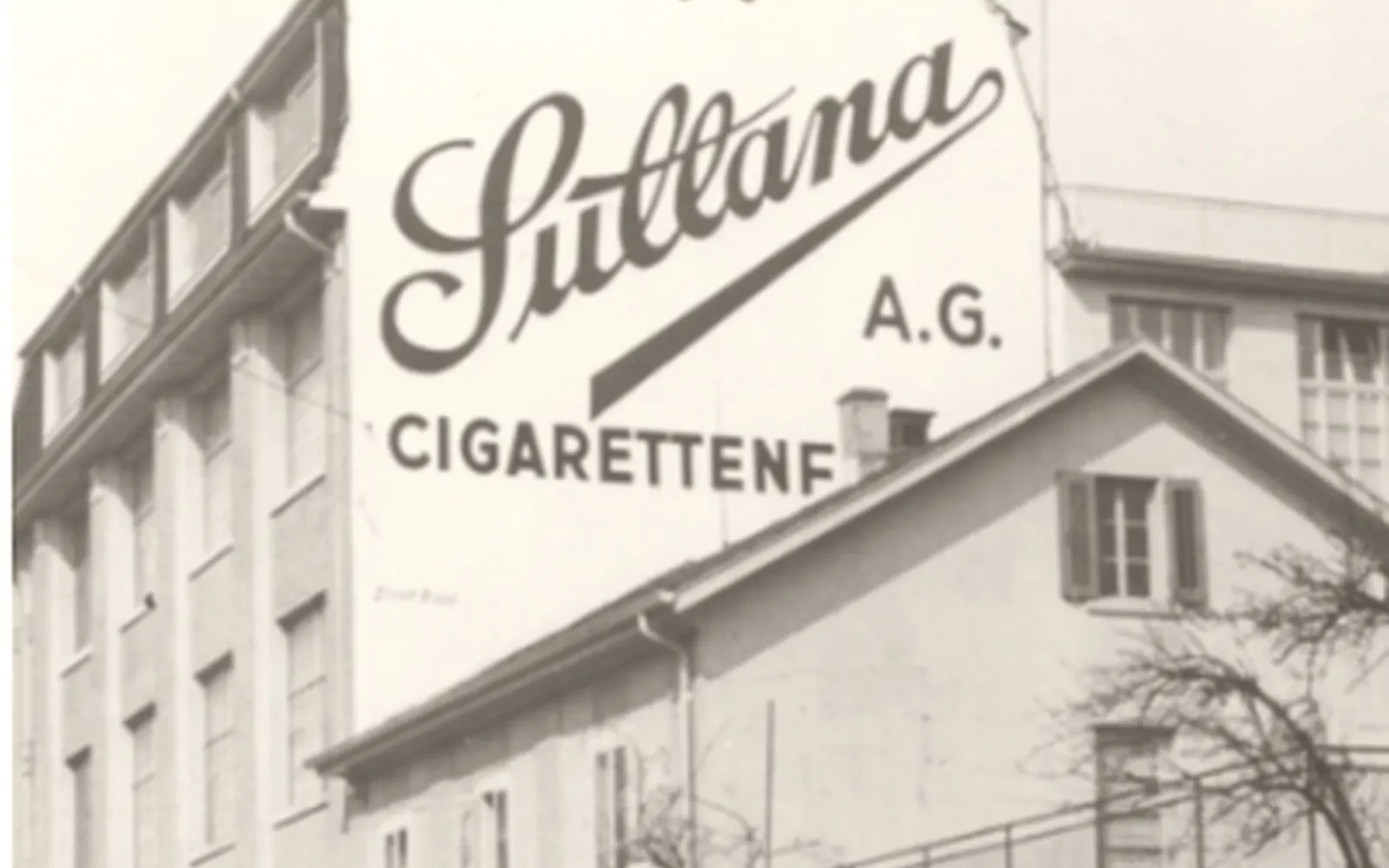 Pacchetto di sigarette Sullana aperto accanto a tabacco Burley svizzero e piccole foglie scure di tabacco Orient su un banco da manifattura, luce calda del mattino